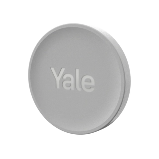 Yale Dot - stříbrný (Linus)